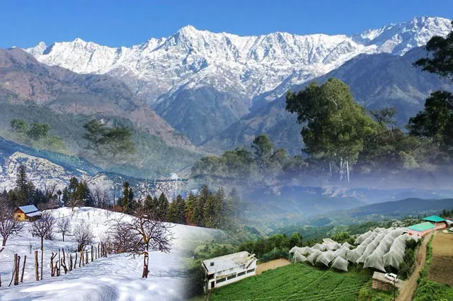 Discover India with the Best Travel Packages from TravelingPointOut
